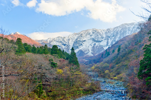 A view of Daisen Mountain during lush foliage season  Tottori  Japan