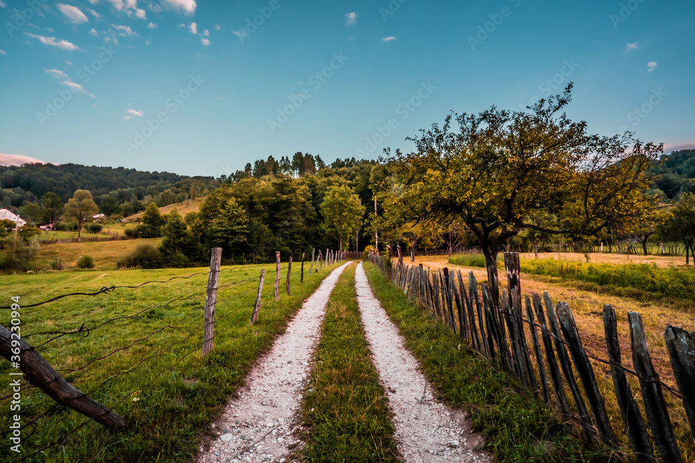 Naklejka premium The path to the village