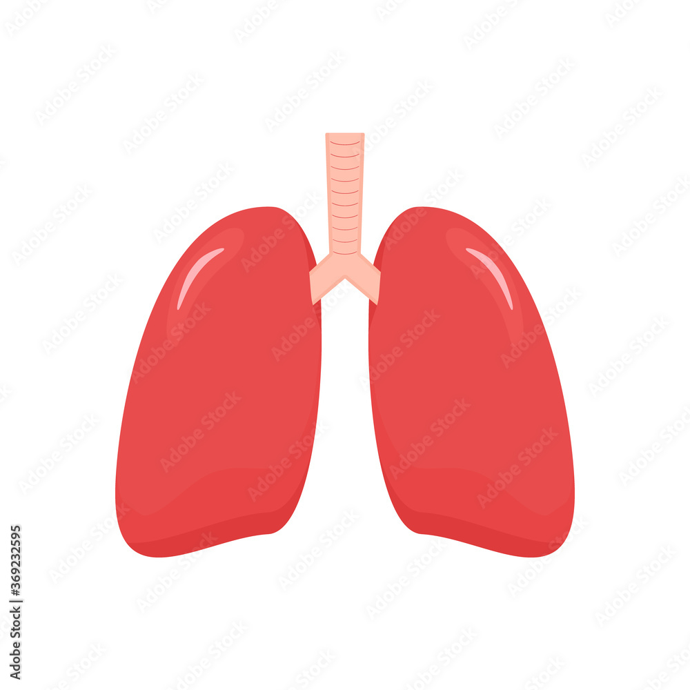Lungs icon in flat style. Internal human organ vector illustration isolated on white background. Lungs icon in flat style. Internal human organ vector illustration isolated on white background.