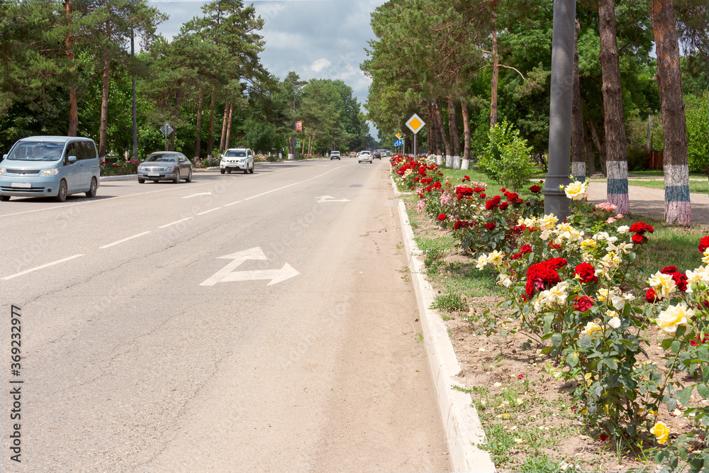 city of Abinsk Krasnodar territory Sovetov street in summer with flowers roses on the side of the road