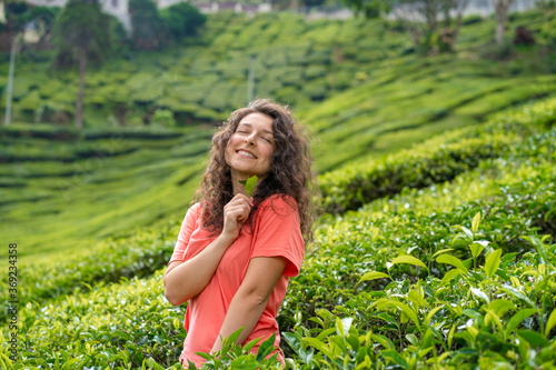 Beautiful brunette girl posing in the middle of the tea valley between green tea bushes.