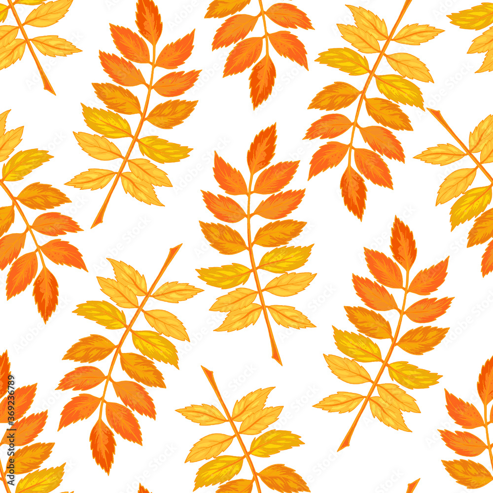 Obraz premium Vector autumn leaves seamless pattern on white background. 