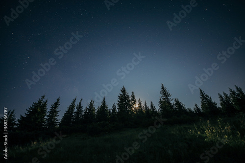 A sky view looking up at night © Дмитро Григорчак
