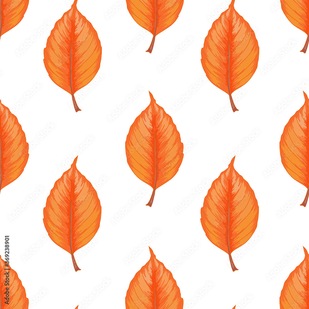 Fototapeta premium Vector autumn leaves seamless pattern on white background. 