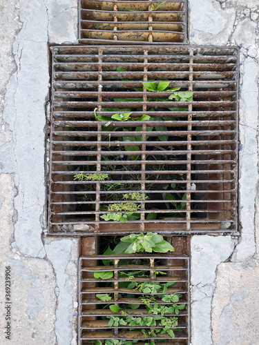 Steel grating water drain cover with cement floor in Factory walkway