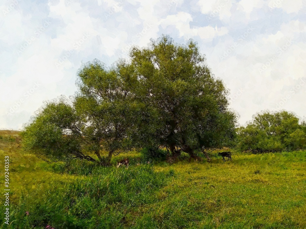 Oil paintings rural landscape, trees in the field