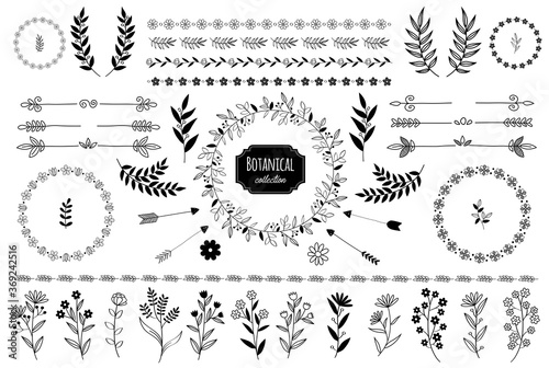 Hand drawn vector floral elements. Branches and leaves. Herbs and plants collection. Vintage botanical illustrations.
