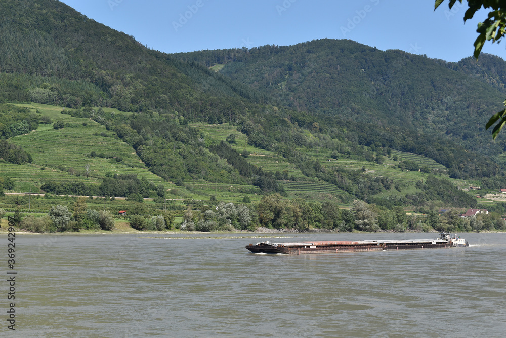 Obraz premium Frachtschiff in Wachau, Donau, im Sommer bei etwas höherem Wasser, Verschiffen von Gütern über Fluss, Frachtverkehr in Europa mit Schiff 