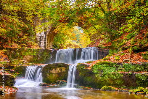 Natural Rapids of a Waterfall and Autumn Forest