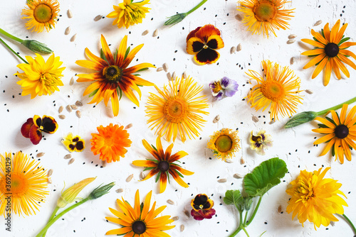 Pattern of autumn flowers on the white background