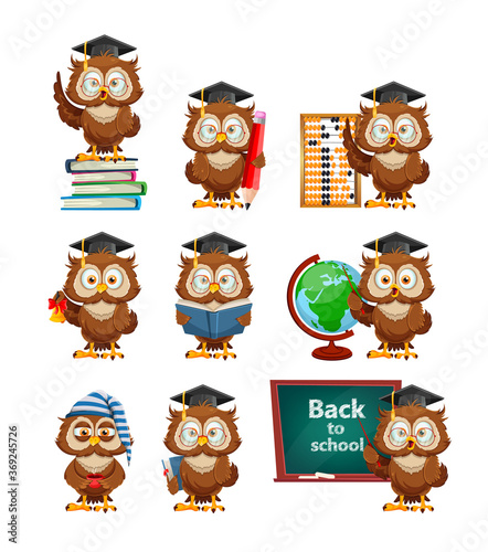 Cute wise owl. Funny owl, back to school concept