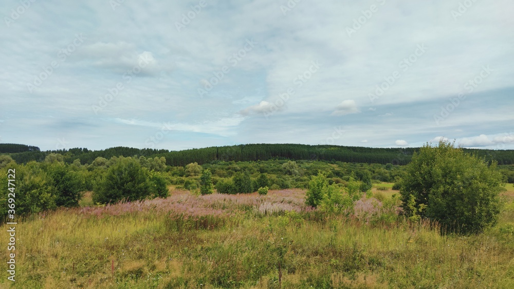 panoramic landscape in a field near the forest against a blue cloudy sky