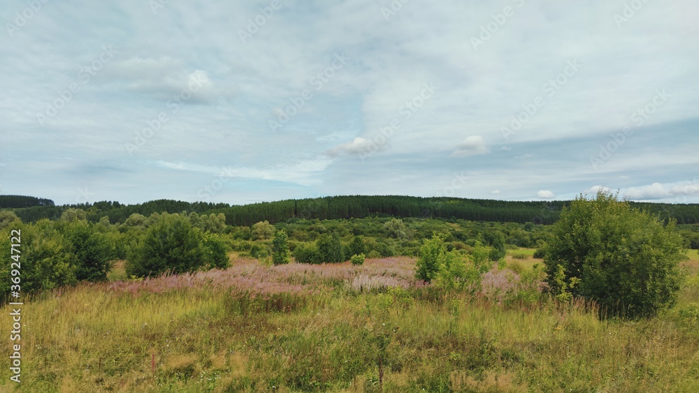 panoramic landscape in a field near the forest against a blue cloudy sky panoramic landscape in a field near the forest against a blue cloudy sky