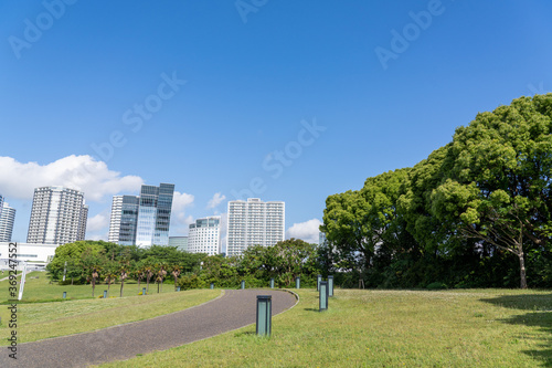 横浜みなとみらい地域散策