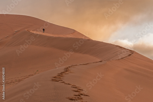 View of the sickle shaped sand dune next to Sossusvlei