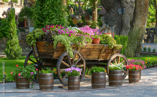A wooden cart full of bright multicolored flowers . Wheeled cart with flowers in the city Park.Decoration, design, Floristics, Park decoration. © Владимир Олейник