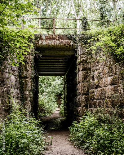 Fototapeta Naklejka Na Ścianę i Meble -  stone bridge in the forest