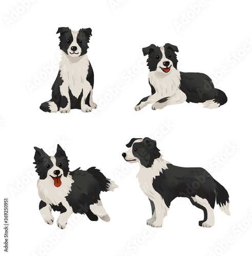 group of dogs