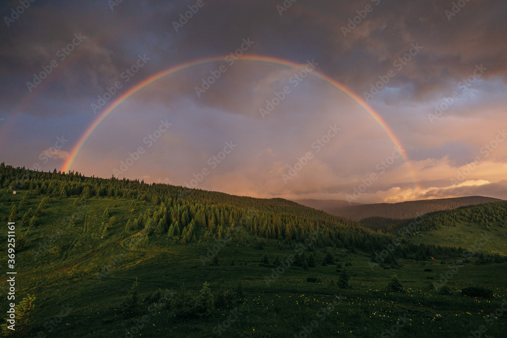 Naklejka premium A rainbow over a field