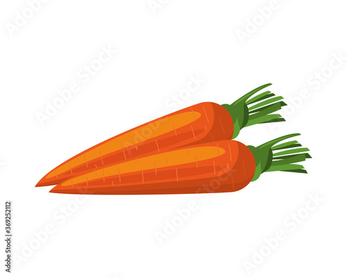 carrots healthy vegetables detailed style icon