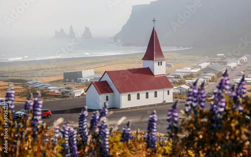 Incredible view of Vikurkirkja christian church and field of blooming lupine flowers on foreground in sunny day. Vik village is a one famous natural landmark and travel destination plase of Iceland © jenyateua