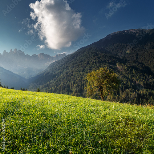 Beautiful countryside of Italy. Wonderful Sunny landscape. View on Alpine valley with fresh green grass, perfect sky, and majectic dolomites mountains on background. Rural agriculture concept