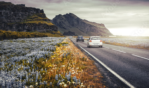 Платно Tipical Icelandic scenery