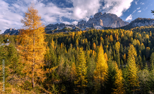 Autumn mountains landscape. Amazing aerial view of the Dolomite Alps at sunny autumn day with yellow larches below and valley gloving by fsun and high mountain peaks behind.