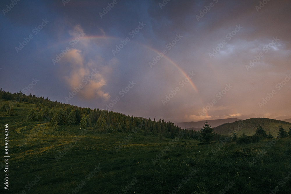 Naklejka premium A close up of a lush green field