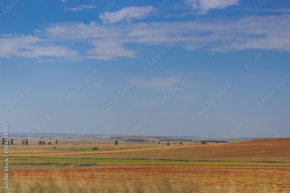 rural landscape with blue sky and clouds.
poppy field, plowed land