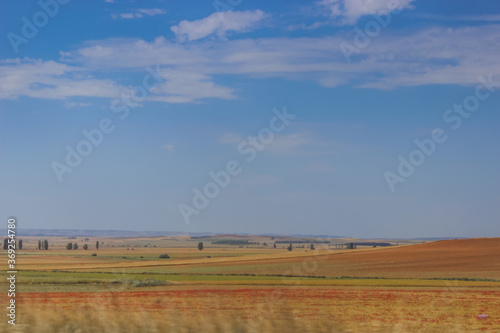 rural landscape with blue sky and clouds. poppy field  plowed land