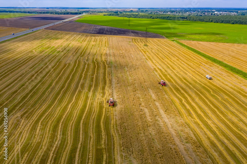 Combines harvest rye in the fields of the Minsk region in Belarus! Bright yellow and blue colors! Harvest in the middle.