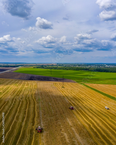 Panorama from 3 frames! Harvesting grain crops in the fields. Bright yellow colors of the field and the blue sky with clouds.