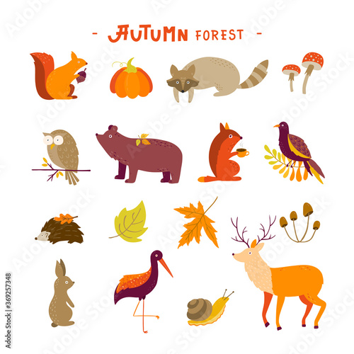 Set of Autumn cartoon characters  plants and leaves. Fall season