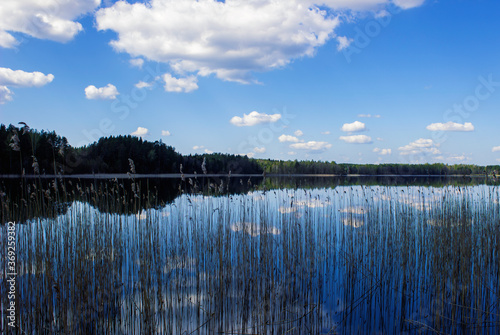 Fototapeta Naklejka Na Ścianę i Meble -  Very nice view of the lake, cloudy sky and reeds