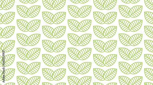 Seamless linear leaves pattern. Horizontal plant green leaf ornament. For labels, packaging or fabric. vector isolated