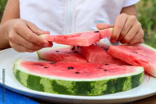 Ripe watermelon in the hands of a child, close-up, side view