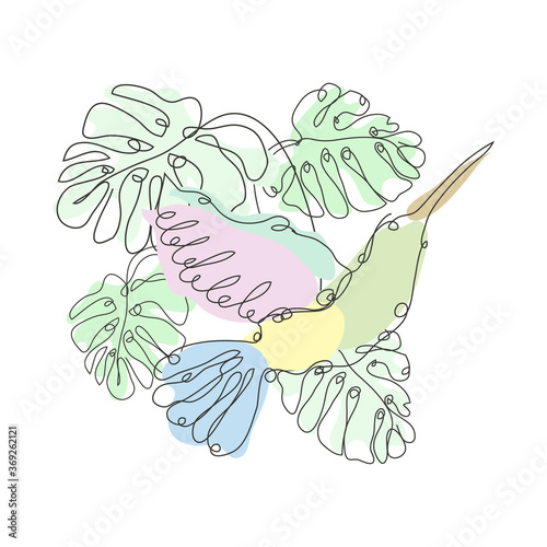 Decorative hand drawn colibri and monstera leaves, design elements. Can be used for cards, invitations, banners, posters, print design. Continuous line art style