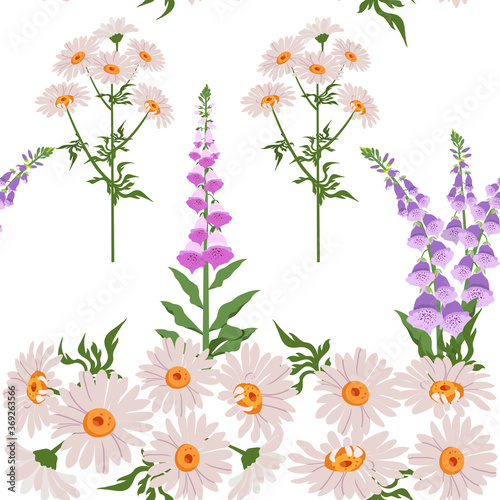 Obraz na plátně Delicate foxglove and chamomile on a white background