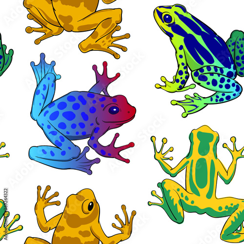 Hand drawn vector of seamless pattern with colorful tree frogs isolated on white background. Original stock illustration of amphibian.
