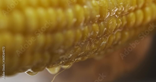 sweet farmhouse boiled corn and butter melt on it. close-up, studio shooting with macro lens