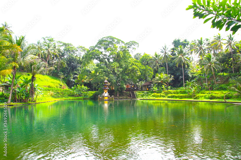 Beautiful landscape on a lake in a tropical forest near Ubud, Bali, Indonesia Beautiful landscape on a lake in a tropical forest near Ubud, Bali, Indonesia