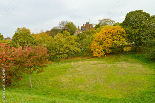 beautiful landscape with different coloured trees and green lawn
