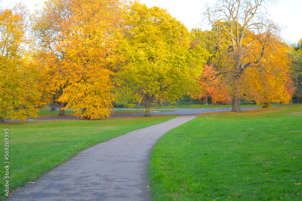 pathway with lawn on both sides and colourful trees in the background