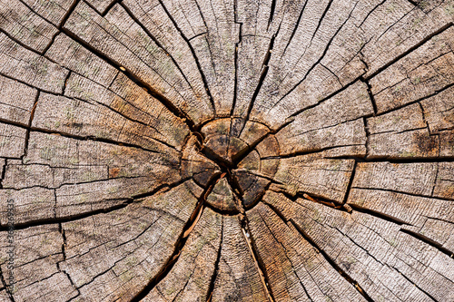 Top view texture of Cracked wooden for background
