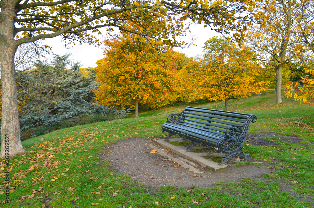 empty park bench in a park surrounded by colourful trees
