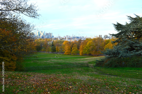 landscape of a park with different colours with London skyline in the background