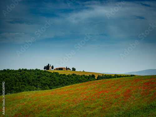 Poppy field with old chapel in Tuscany Italy