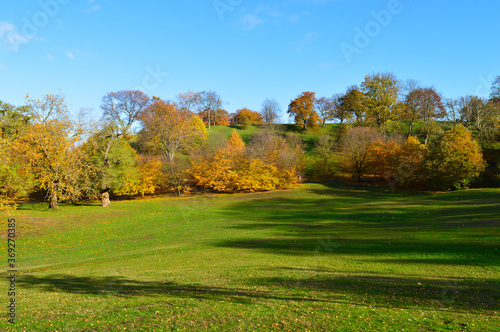 beautiful landscape with green grass colourful trees and bluesky suitable for a wallpaper