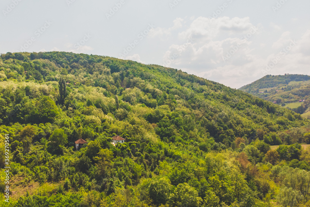 Fototapeta premium Drone top down aerial view of green forest on a hill.